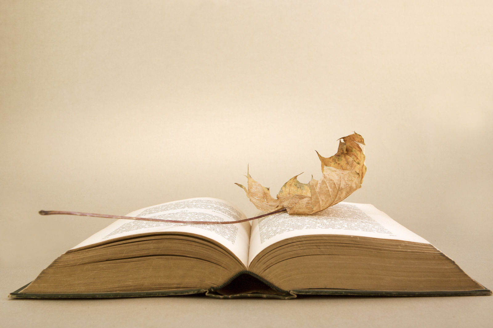 Fall Guide Books